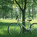 Free bicycle rental